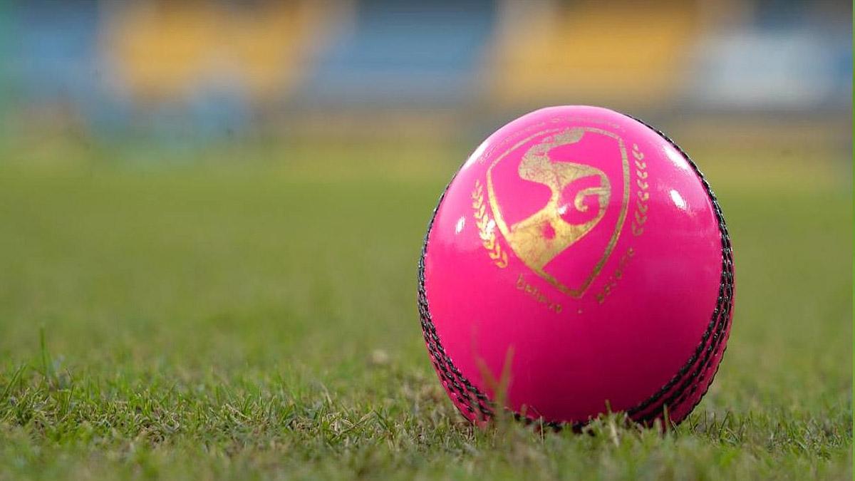 Indian cricket team record in pink ball tests