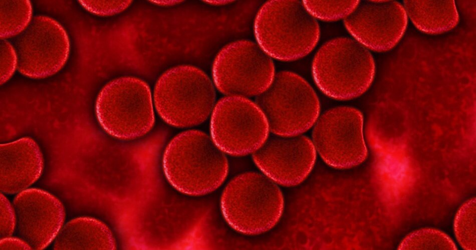 किडनी खराब होना