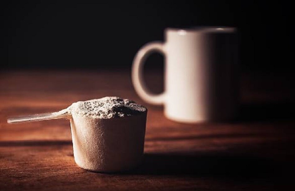 प्रोटीन शेक