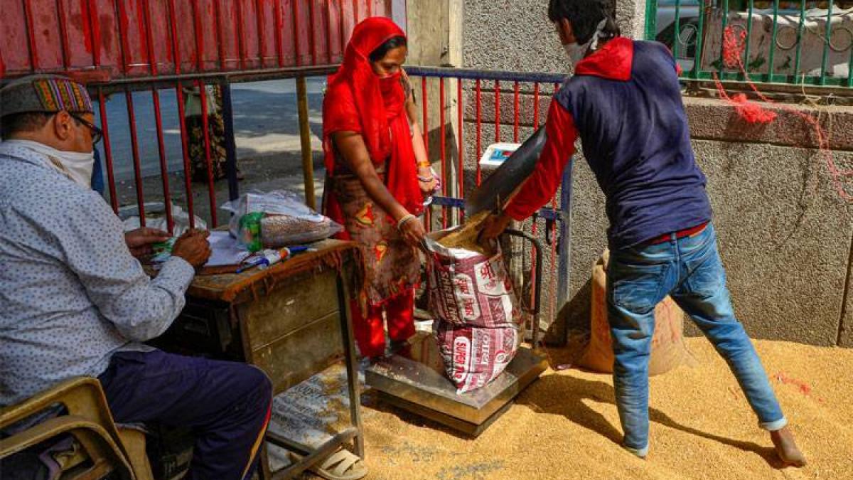 एक राष्ट्र एक राशन कार्ड सिस्टम रिफॉर्म पंजाब में लागू