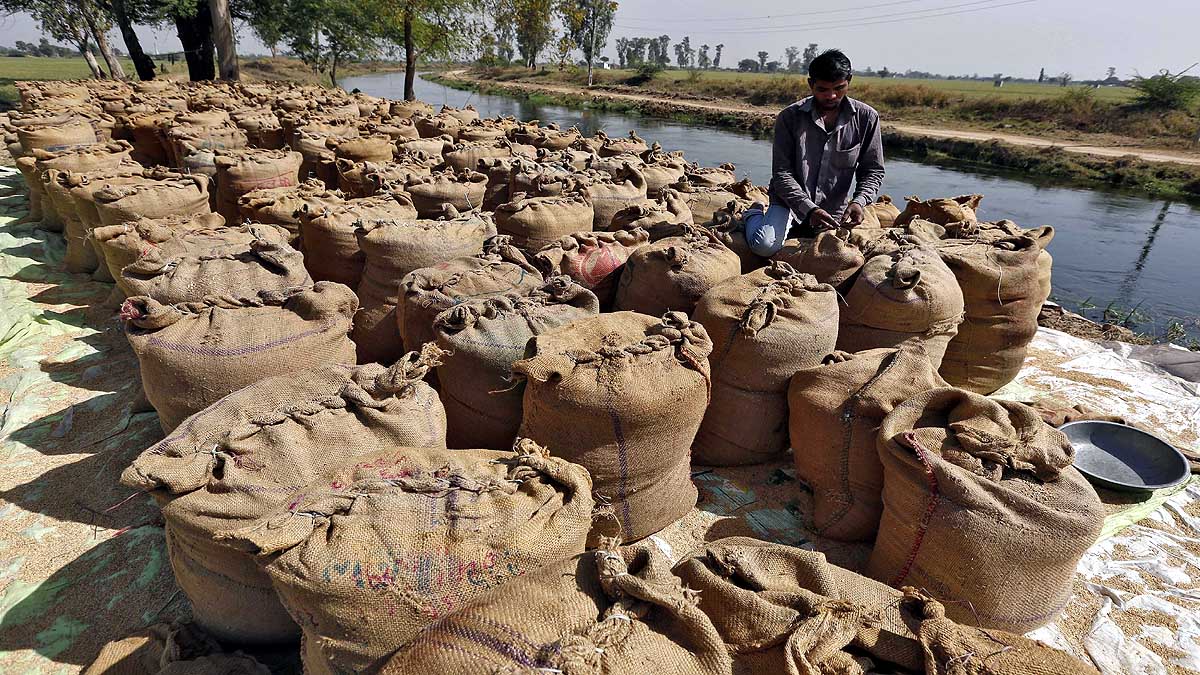 India helps world during Global shortage of Rice