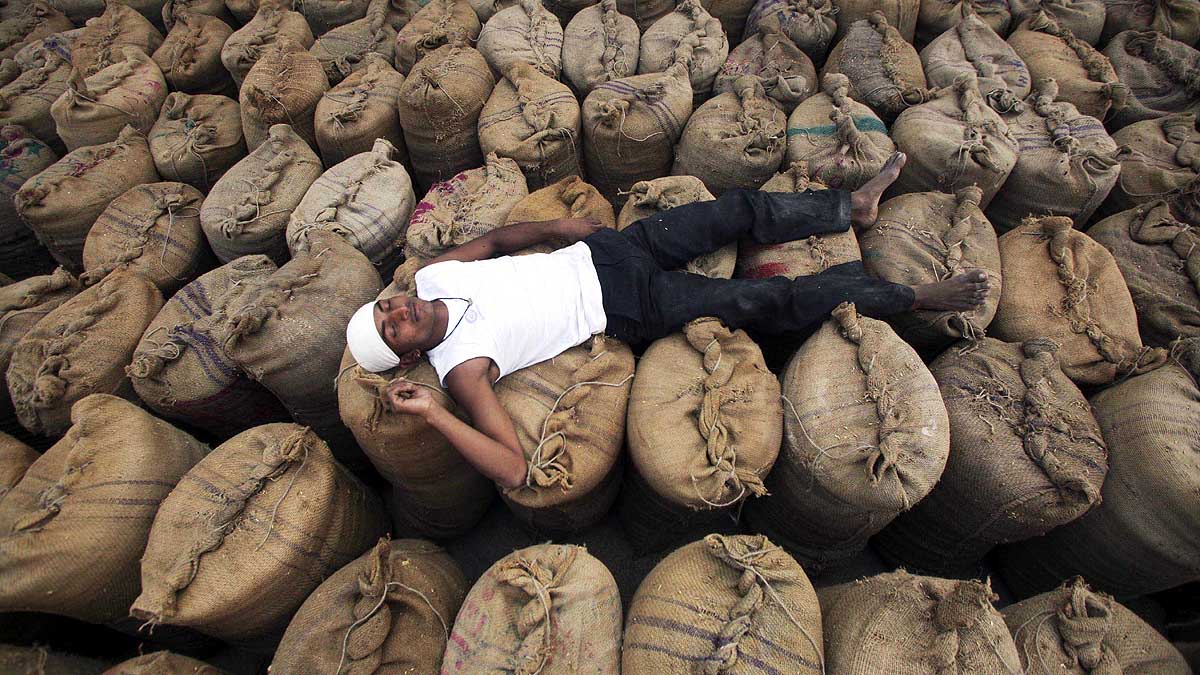 India helps world during Global shortage of Rice