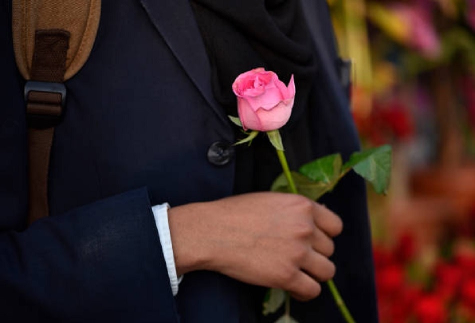 पिंक रोज़