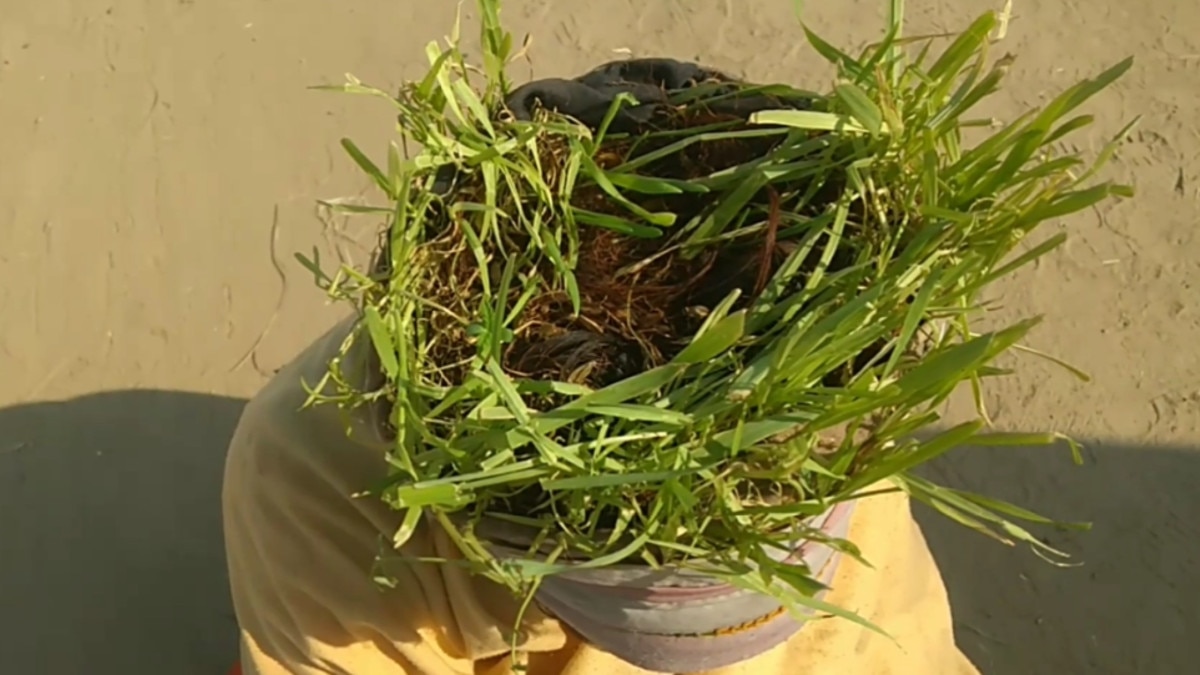 राम मंदिर के लिए साधु का अनोखा प्रण