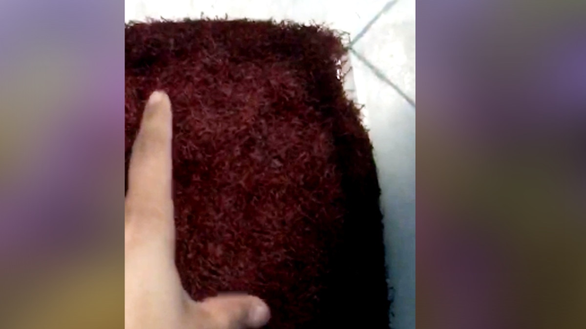 छत पर केसर की खेती कर हर‍ियाणा के दो किसान भाइयों ने कमाया 9 लाख का मुनाफा