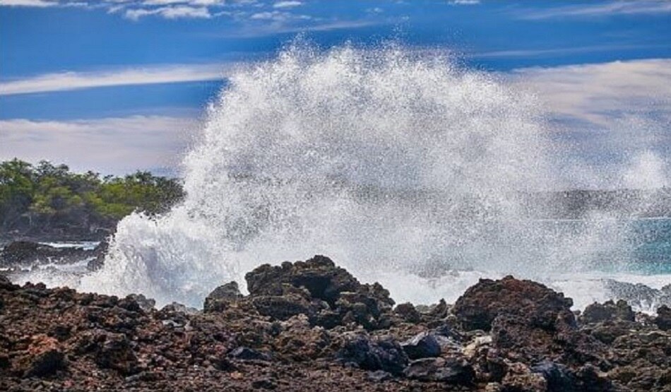 इंसान जैसा दिखाने वाले शार्क