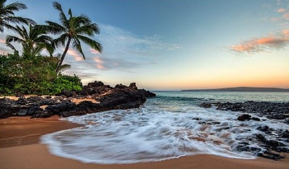 इंसान जैसा दिखाने वाले शार्क