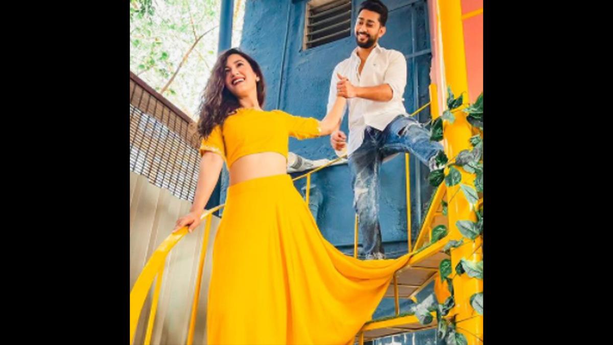 गौहर खान और जैद दरबार