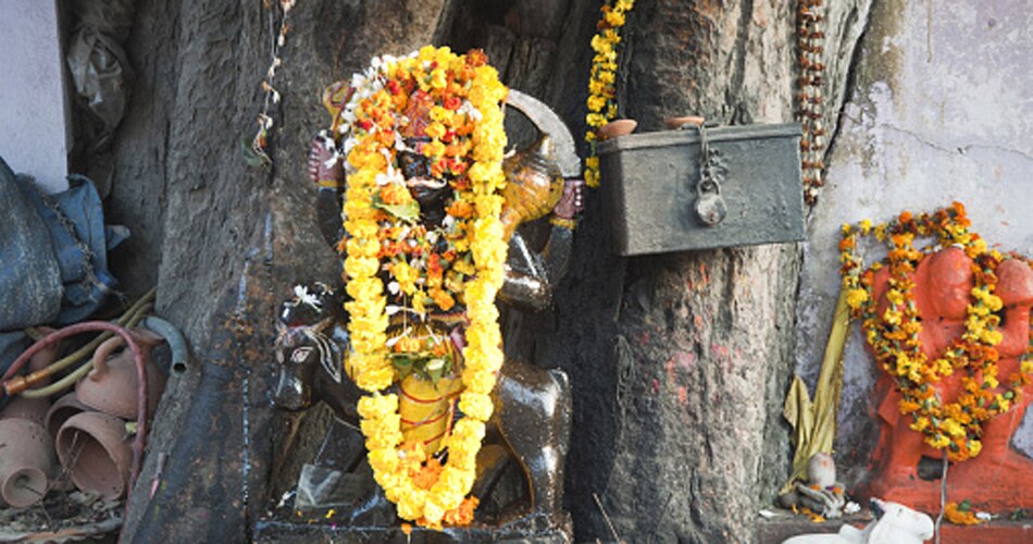 शनिदेव की पूजा करें