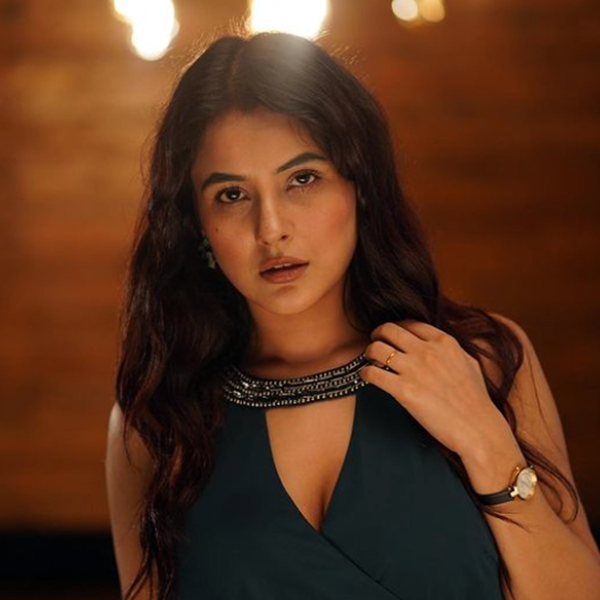 शहनाज ग‍िल 