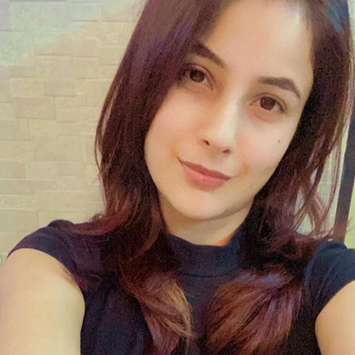 शहनाज गिल