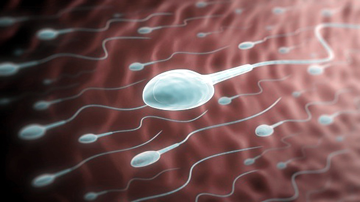 Some Sperms Poison their competitors