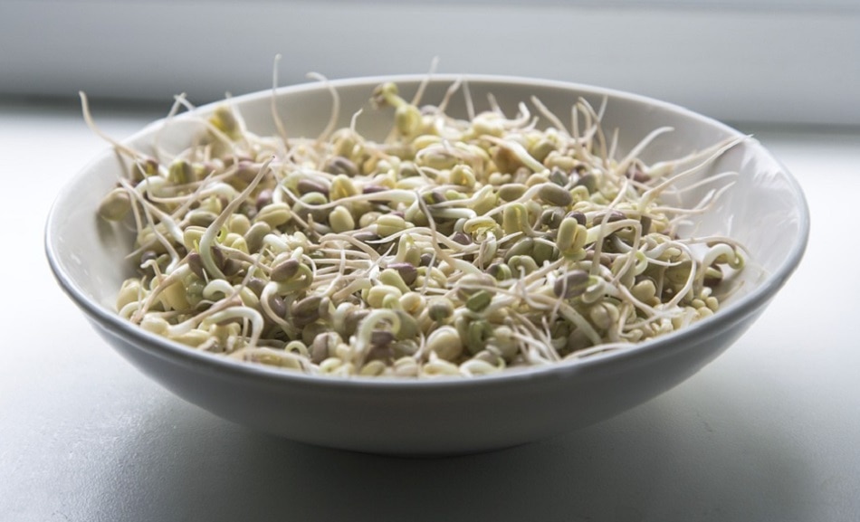 कच्चे स्प्राउट्स