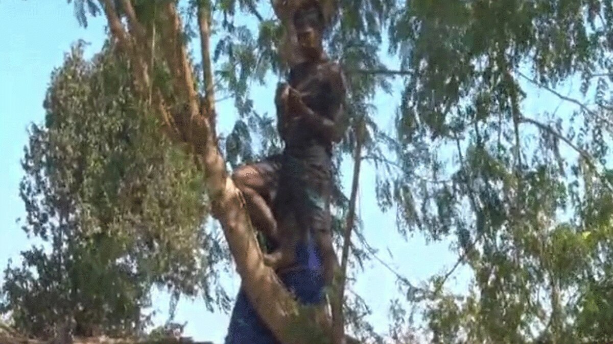 पेड़ और छतों पर चढ़कर पढाई करते हैं बच्चे (फोटो आजतक)