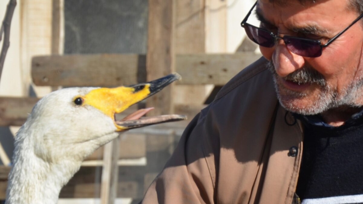 हंस और मिर्ज़ान दोस्ती लगभग चार दशक से चली आ रही है. (image-AP)