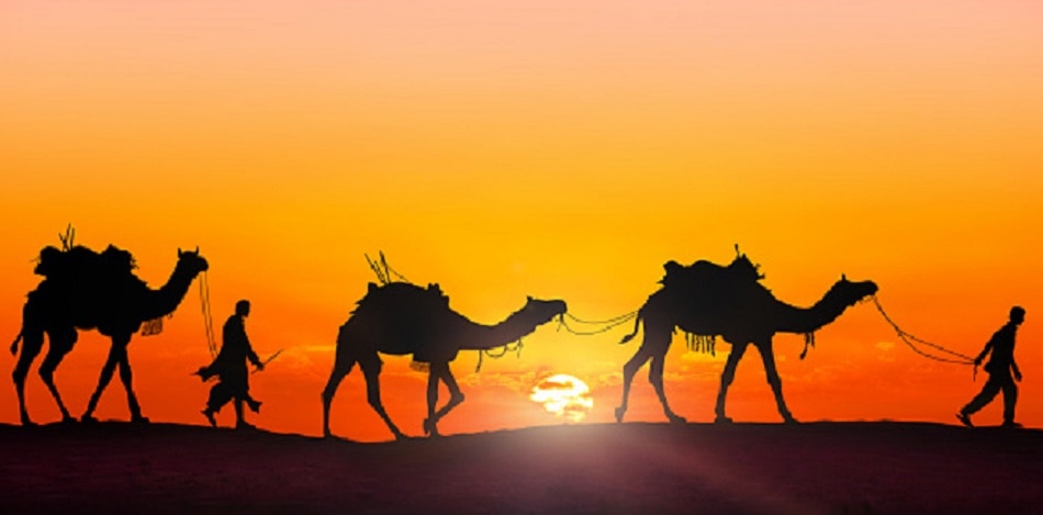 थार मरुस्थल-सहारा मरुस्थल