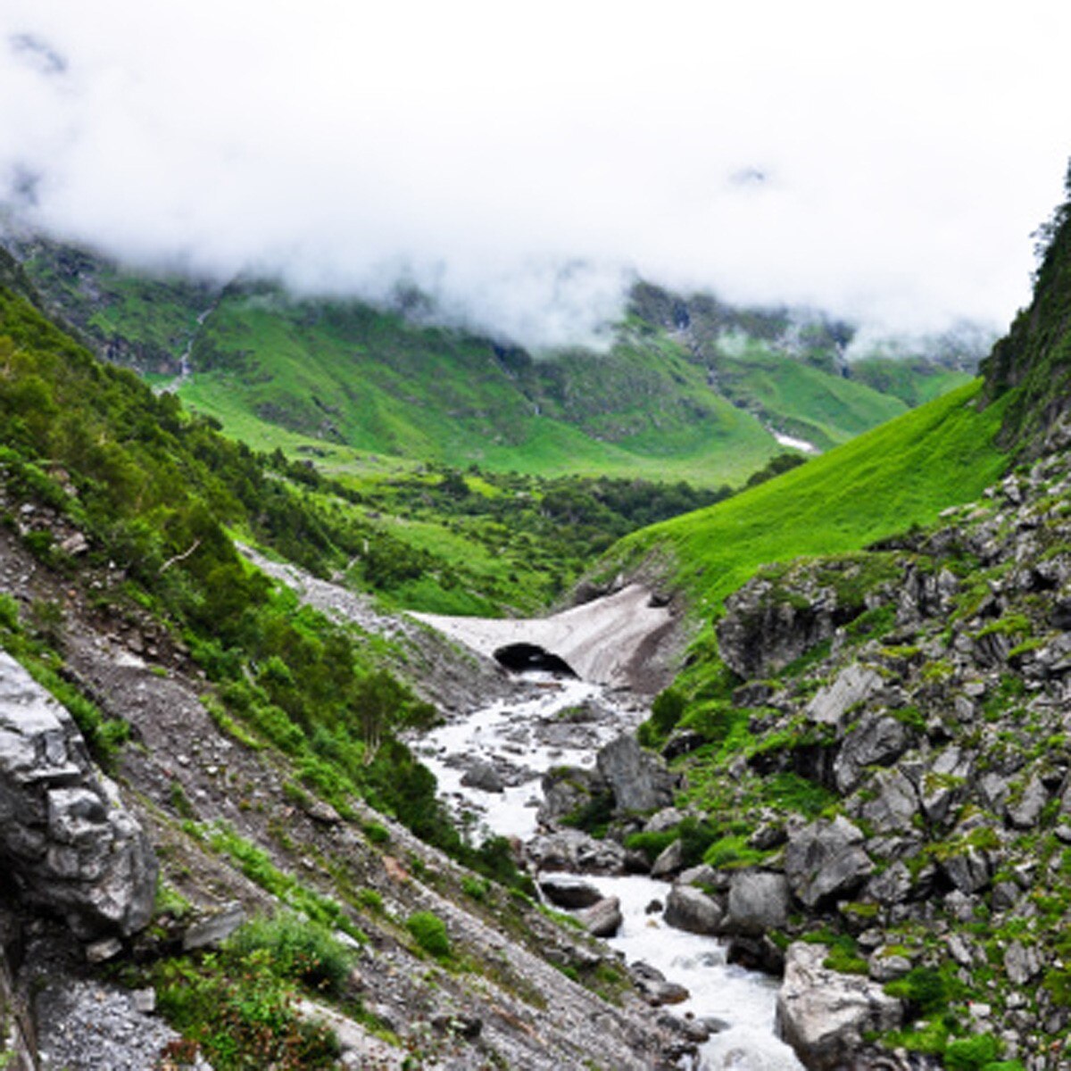 चमोली, उत्‍तराखंड (Getty)