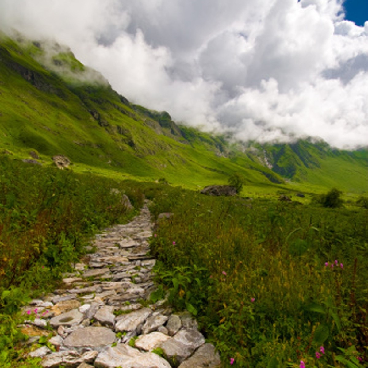 चमोली, उत्‍तराखंड (Getty)