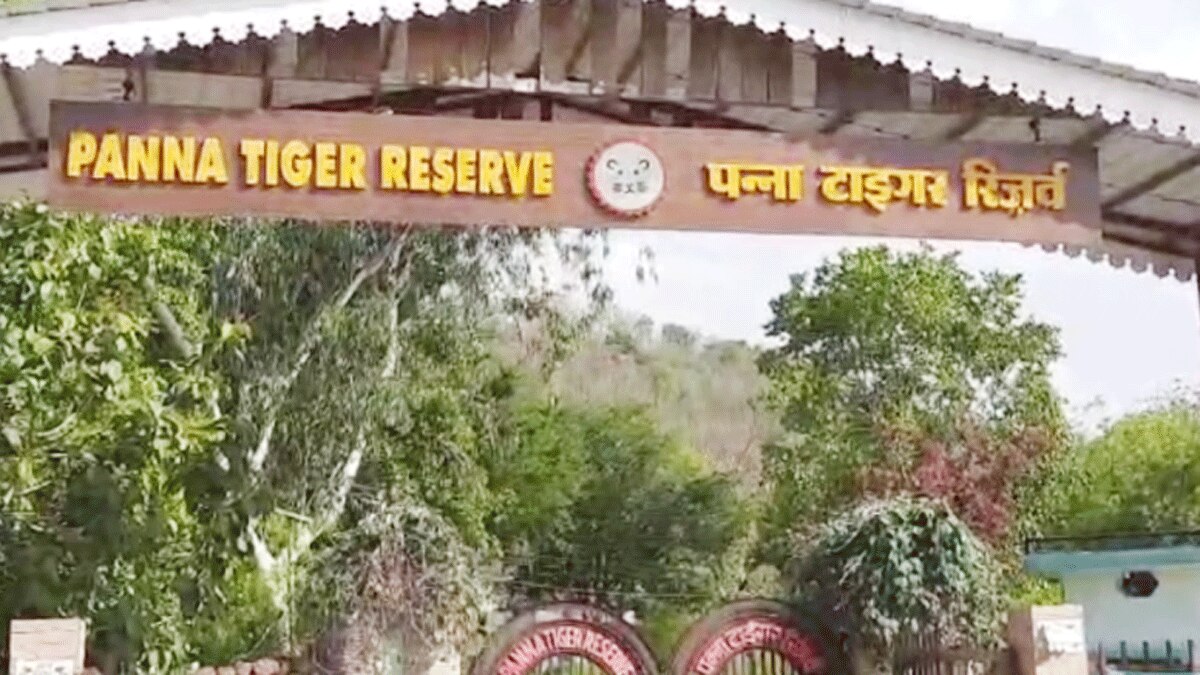 जिले में गिद्धों की संख्या में लगभग दोगुनी बढ़ोतरी हुई है (फोटो आजतक)