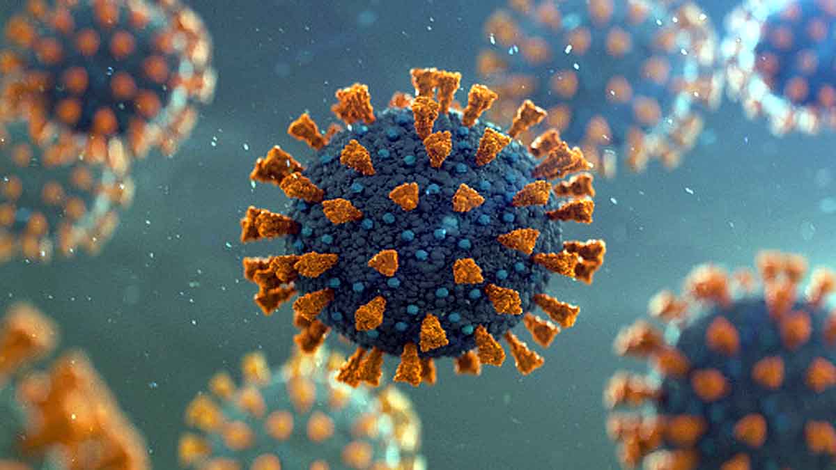 Universal Corona Vaccine in 1 year