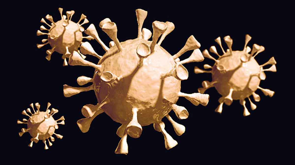 Universal Corona Vaccine in 1 year