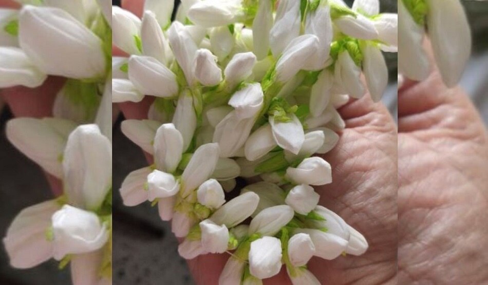 महिला ने टिशू पेपर से बनाया ऐसा गजरा