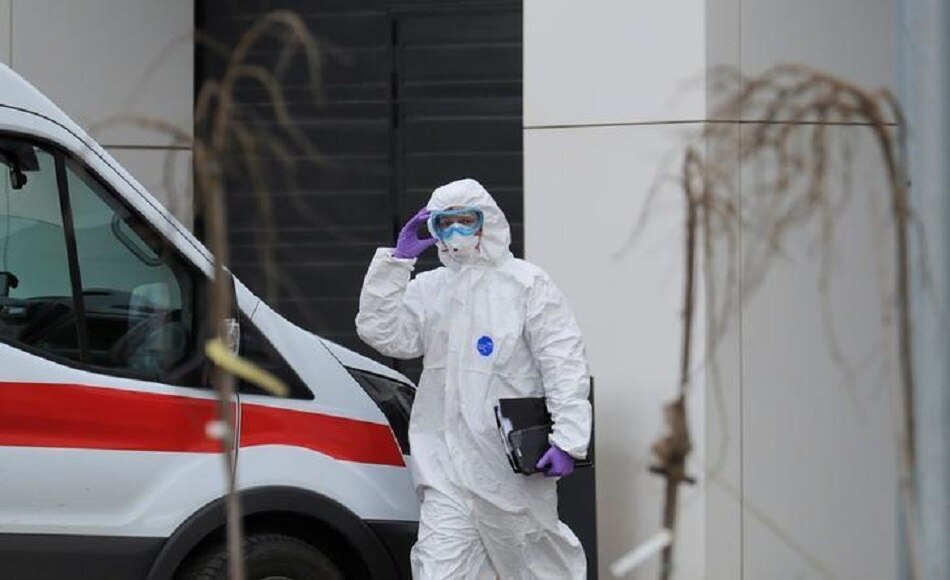 prehistoric viruses study