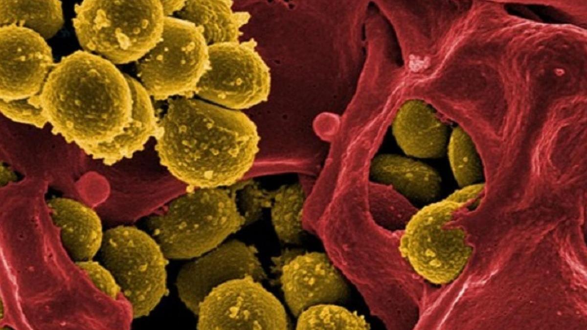 भारतीय पुरुषों में कैंसर का खतरा ज्यादा होता है