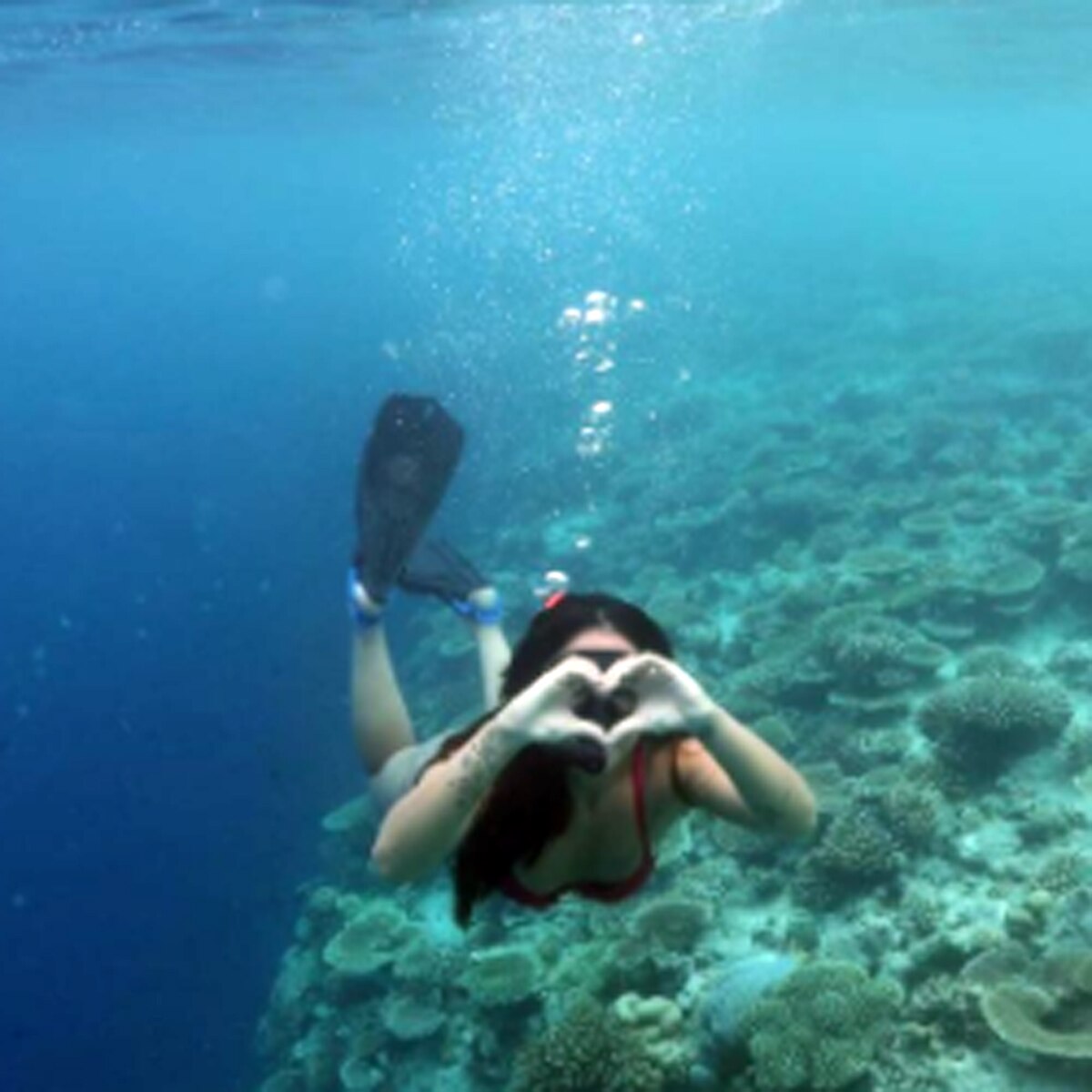 कृष्णा श्रॉफ