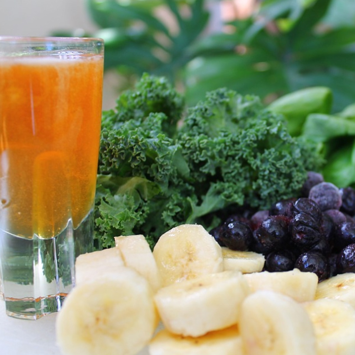 प्लेटलेट्स