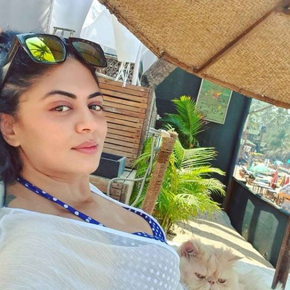 कविता कौशिक