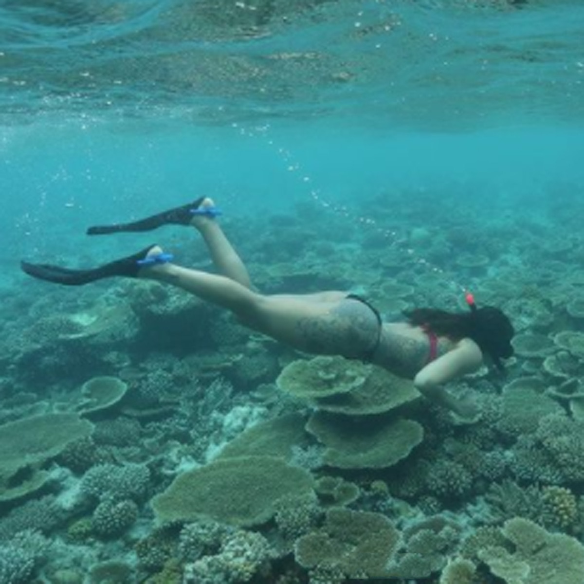  कृष्णा श्रॉफ