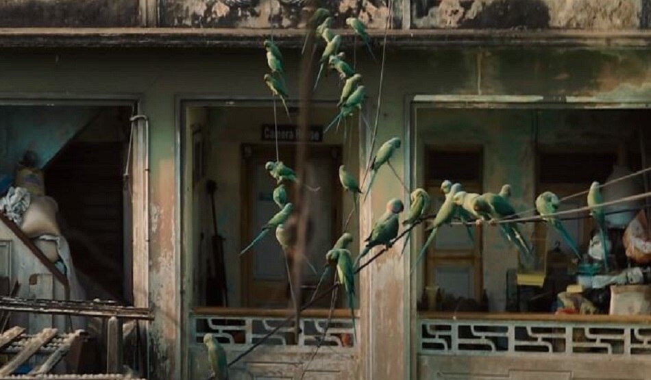 बर्डमैन के नाम से मशहूर है ये शख्स