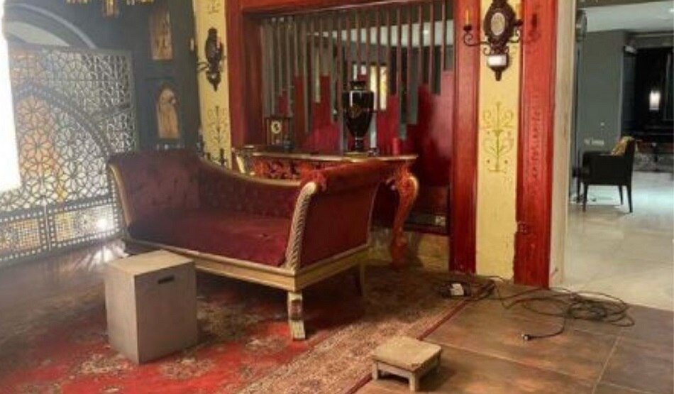 शेर के बच्चे के साथ कराया फोटोशूट