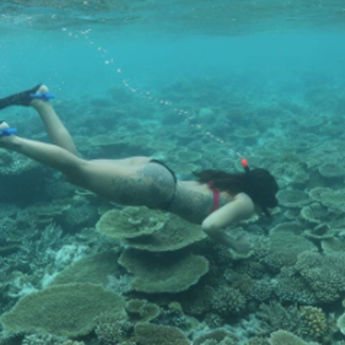 कृष्णा श्रॉफ