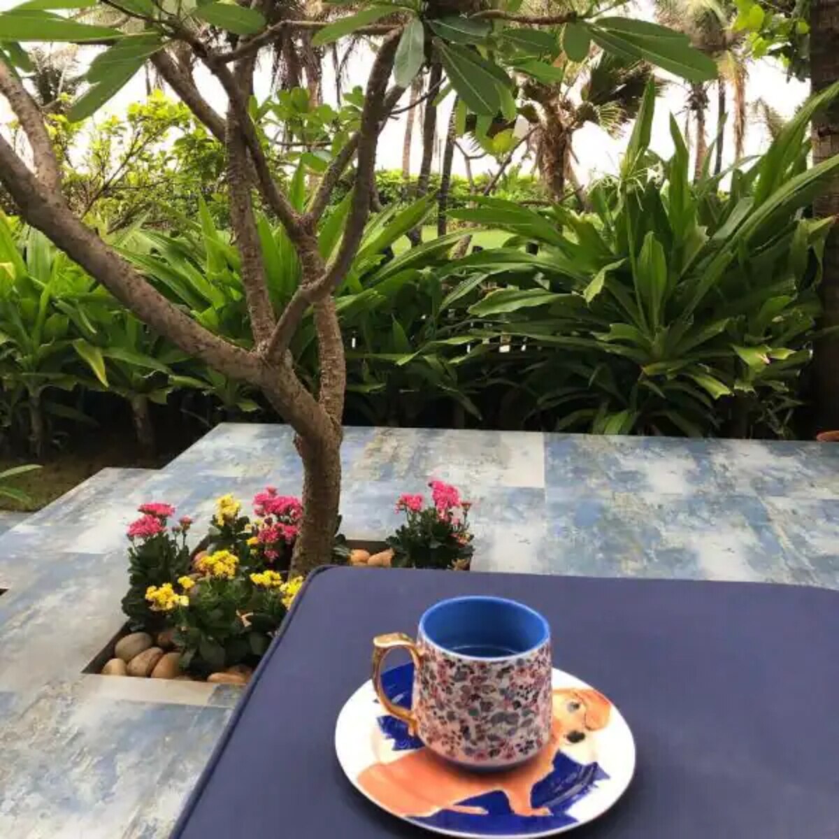 अक्षय कुमार