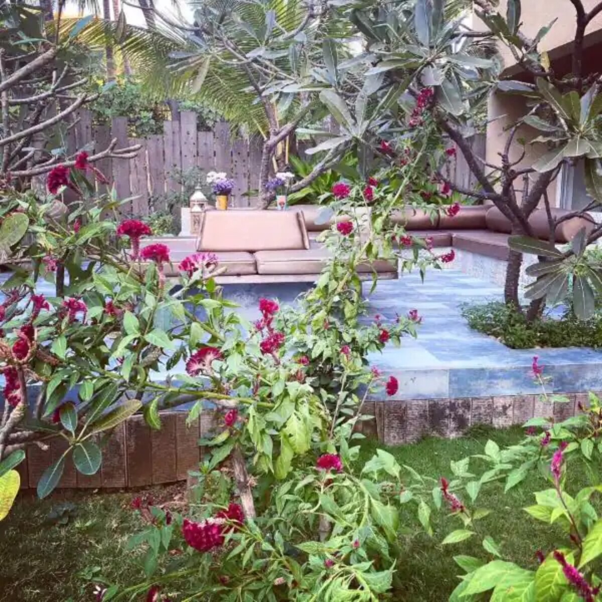 अक्षय कुमार