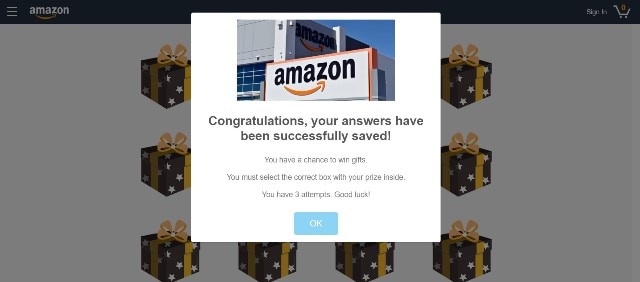 Amazon Fraud Website 1