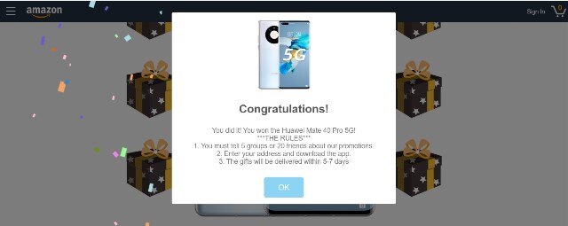 Amazon Fraud Website 2