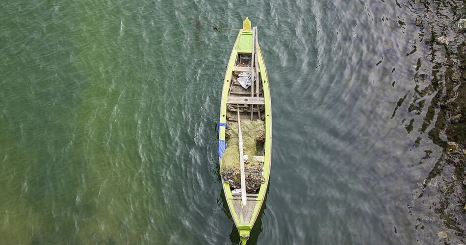 आंध्र प्रदेश और पंजाब