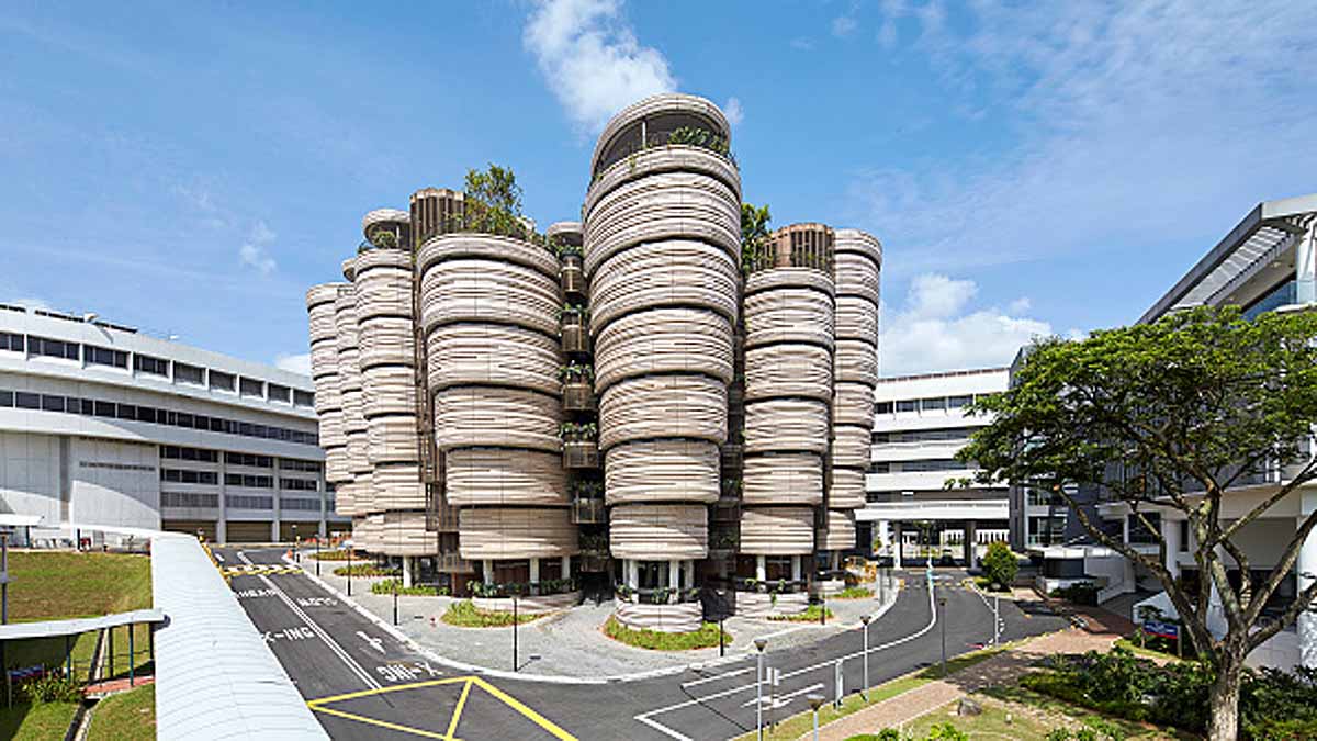 Antibacterial Gel Bandage Durian Husk