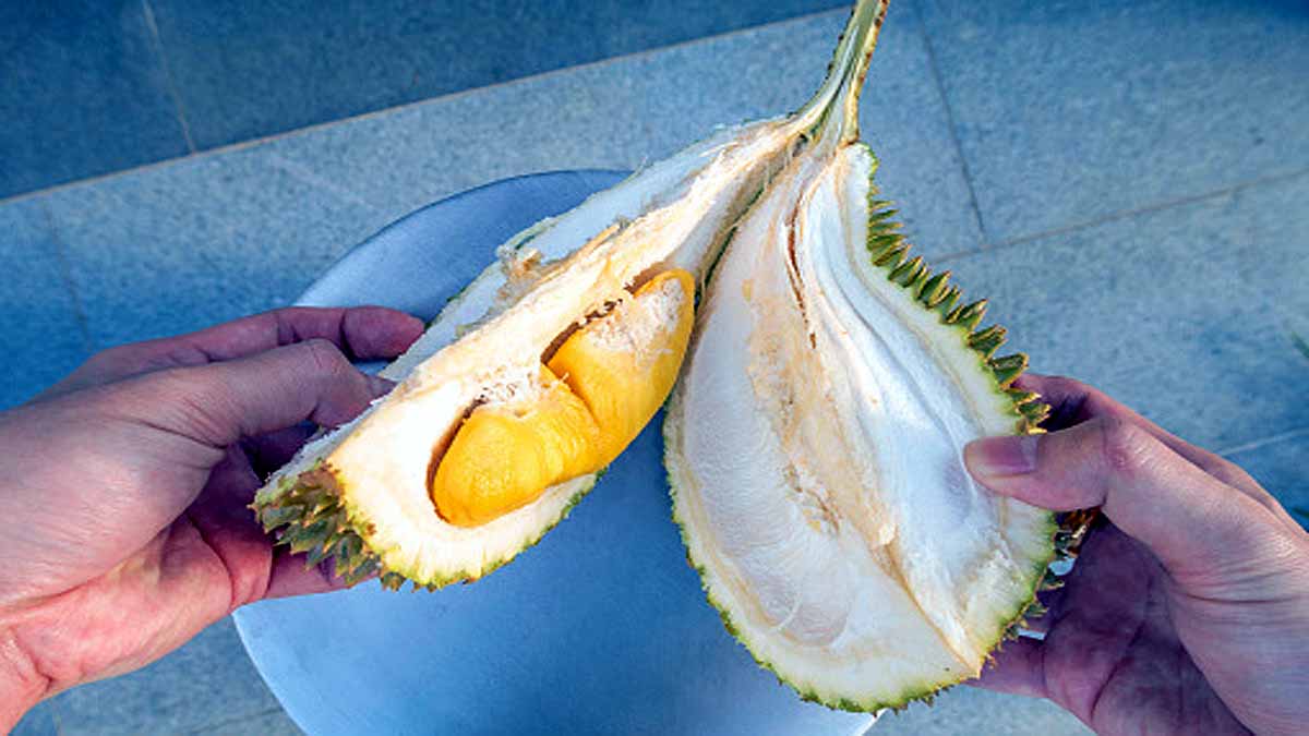 Antibacterial Gel Bandage Durian Husk