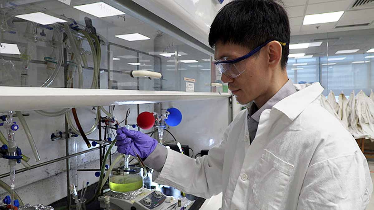 Antibacterial Gel Bandage Durian Husk