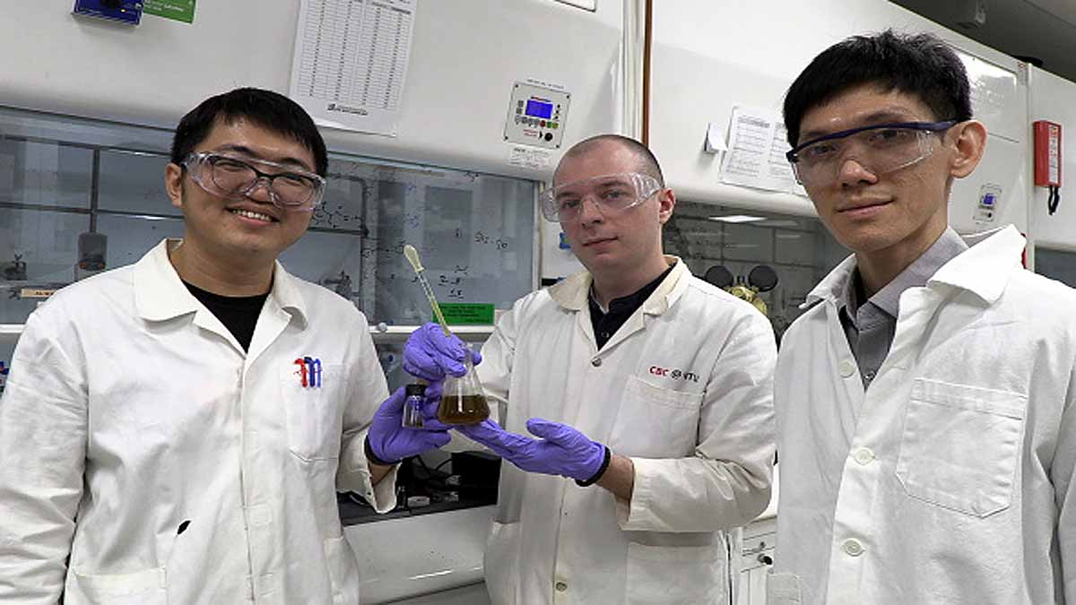 Antibacterial Gel Bandage Durian Husk