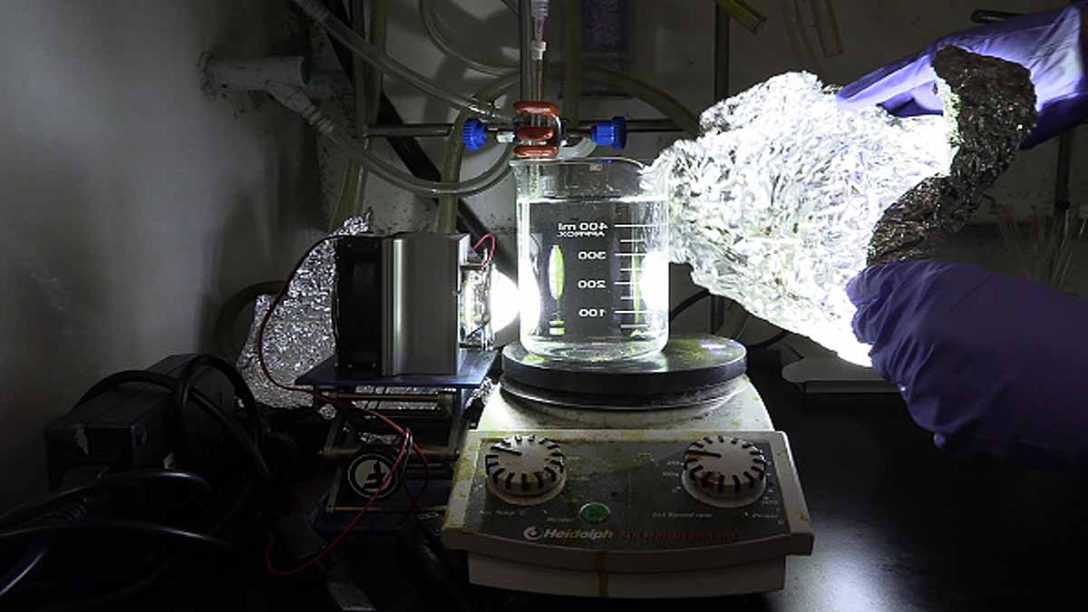 Antibacterial Gel Bandage Durian Husk