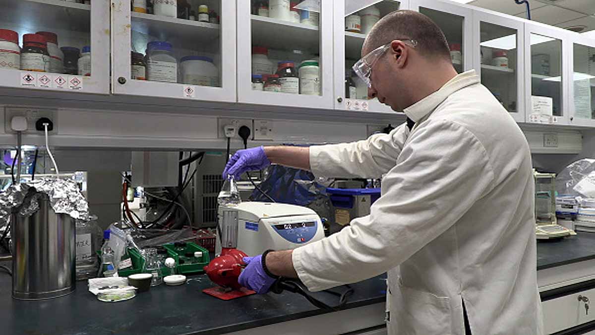 Antibacterial Gel Bandage Durian Husk