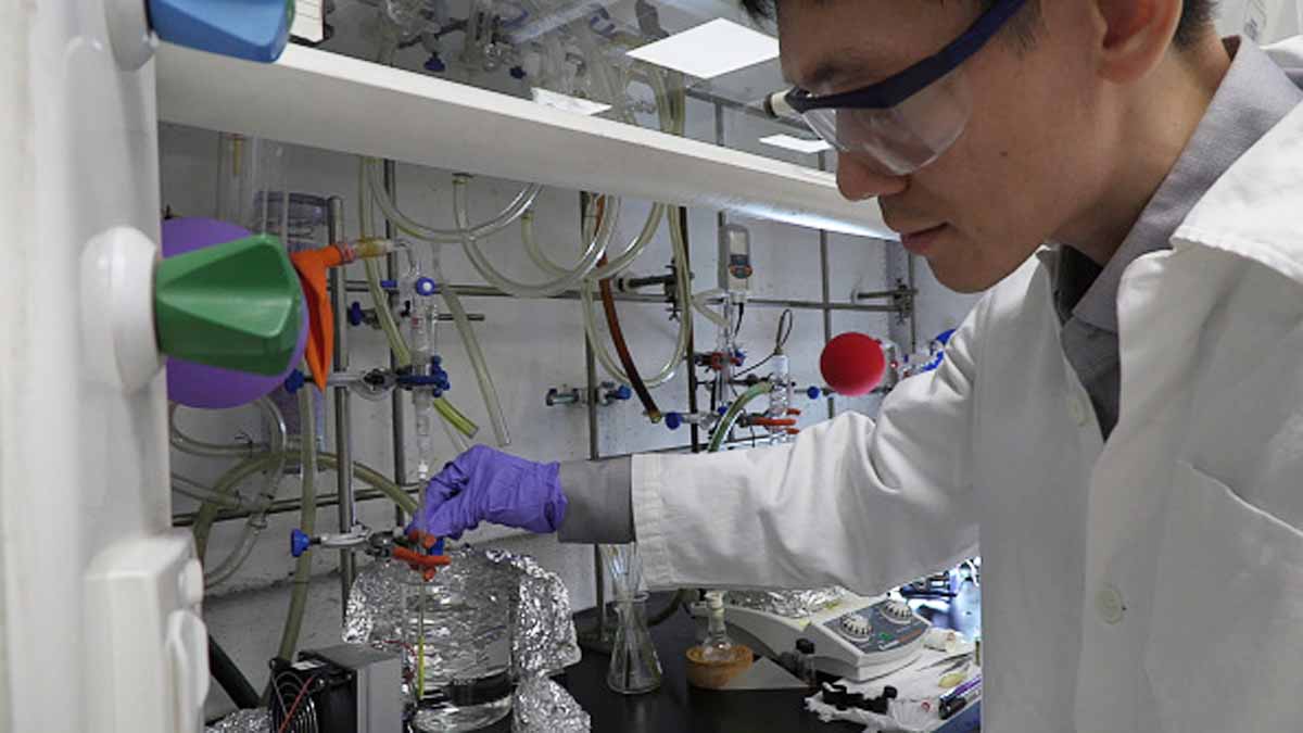 Antibacterial Gel Bandage Durian Husk