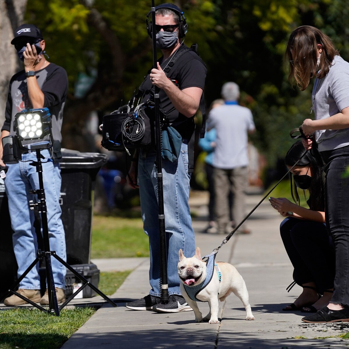 लेडी गागा डॉग