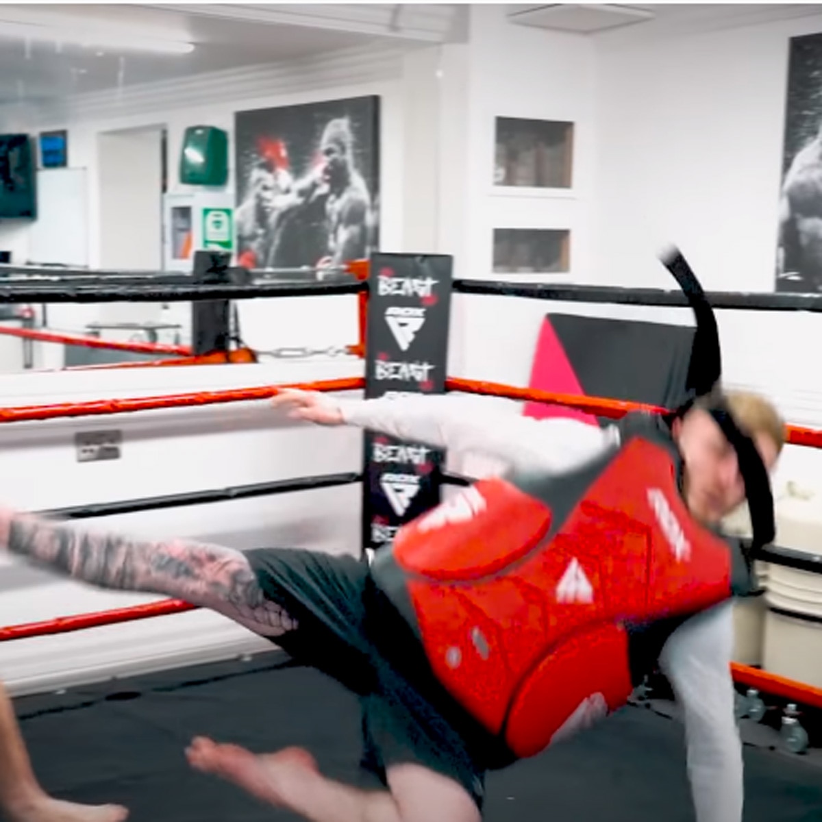 एडी हॉल और नाइल विल्सन