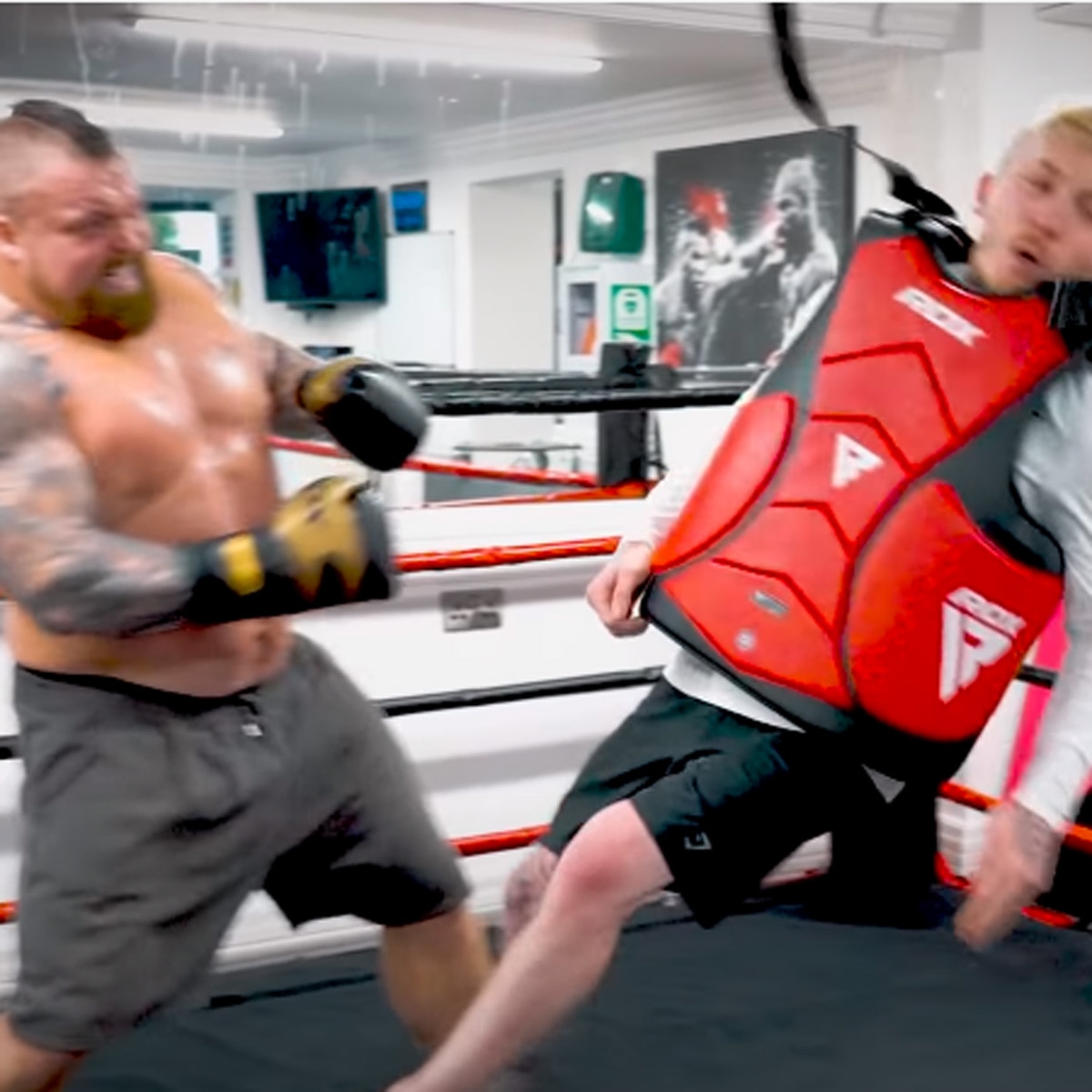 एडी हॉल और नाइल विल्सन